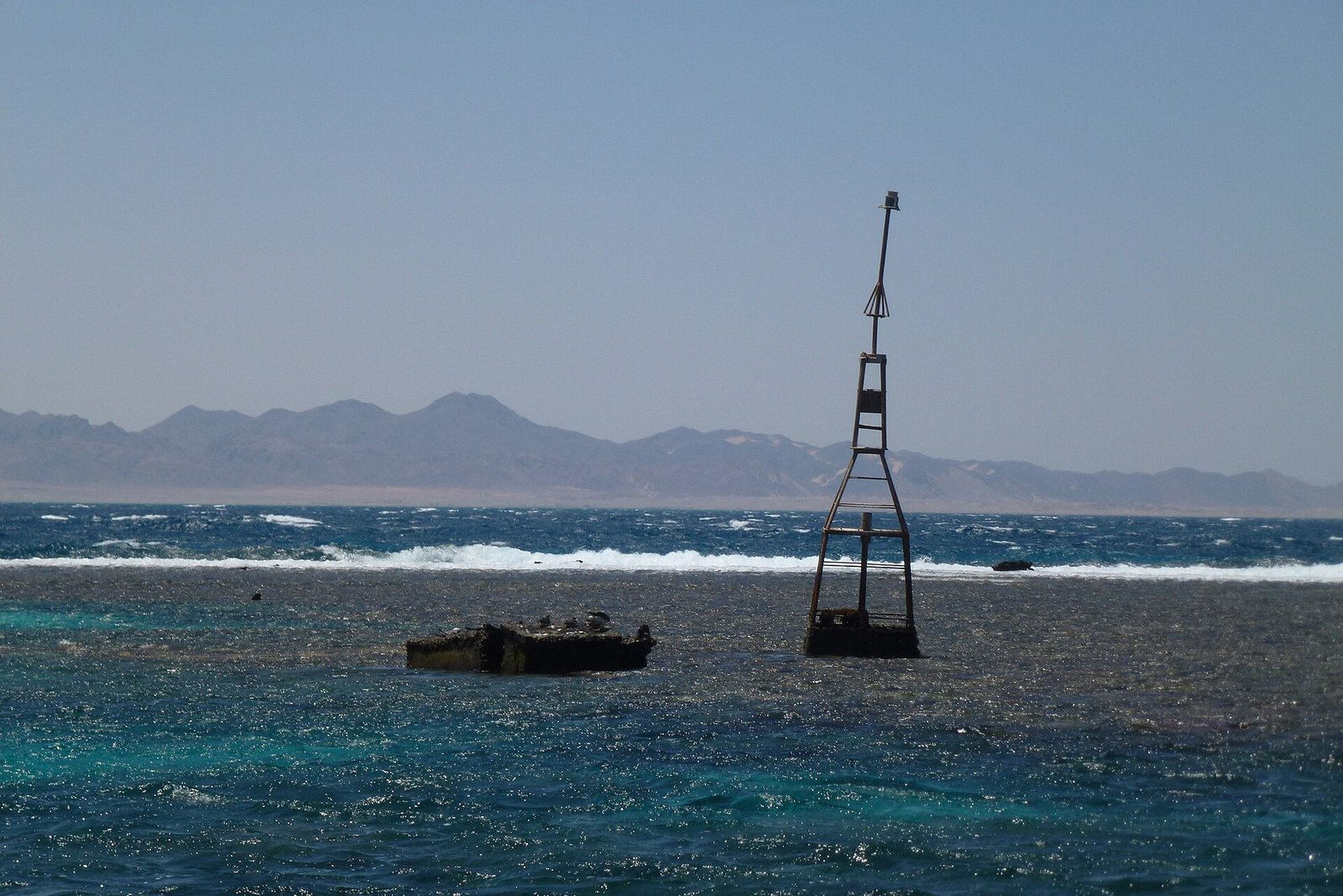 Dolphin House