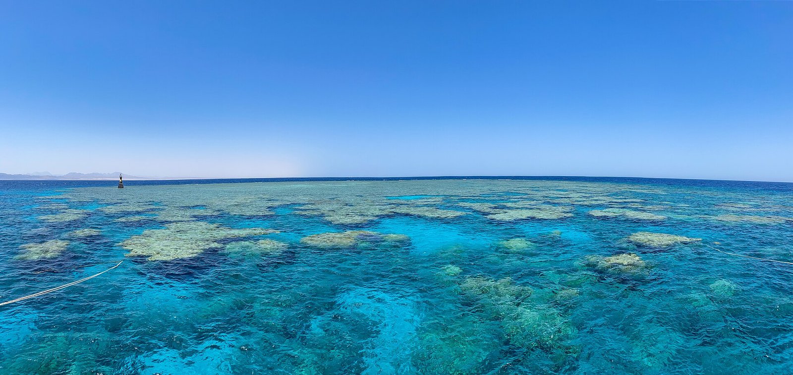 Panorama Reef (Safaga)