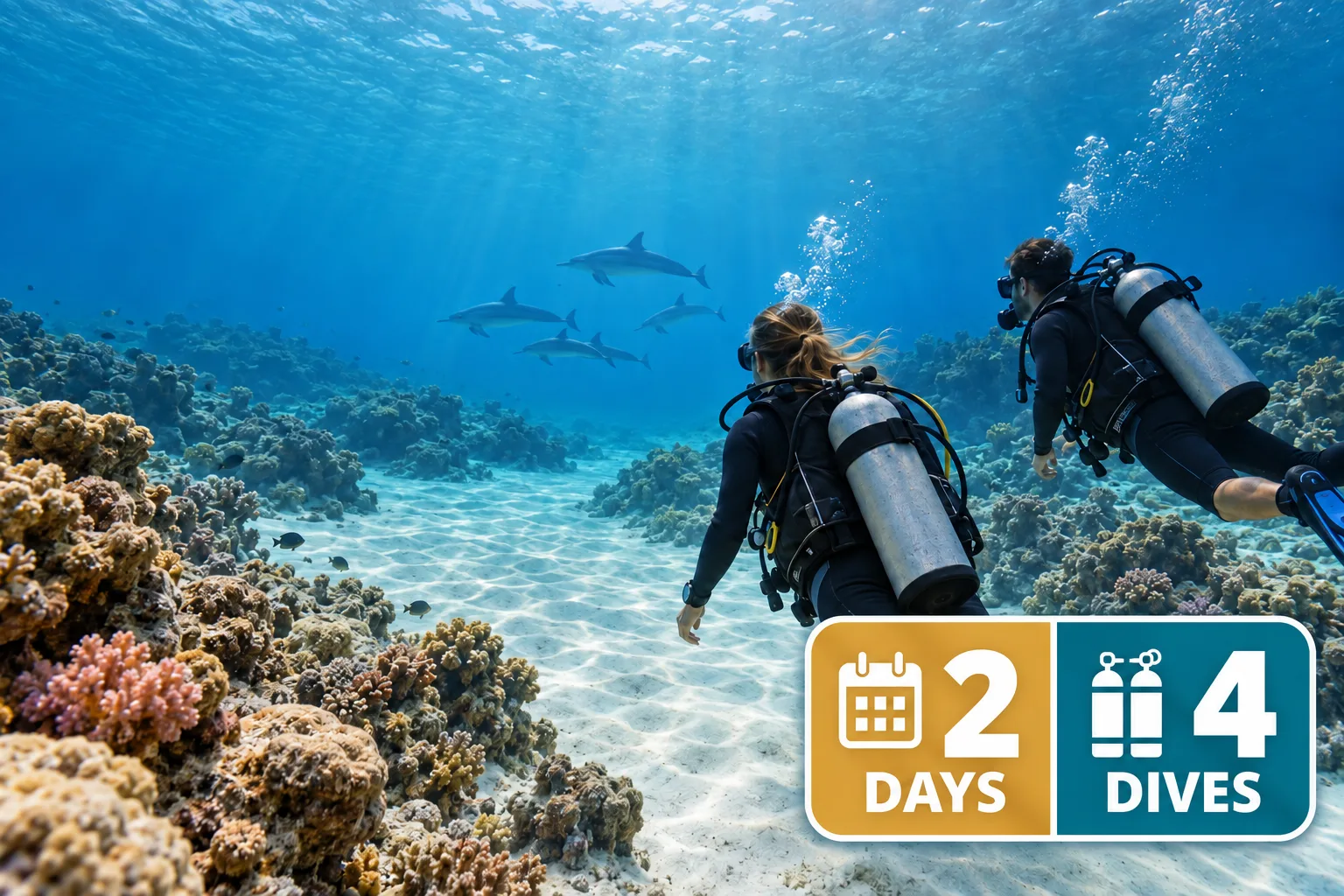Marsa Alam Dive Package — 4 Dives (2 Days)