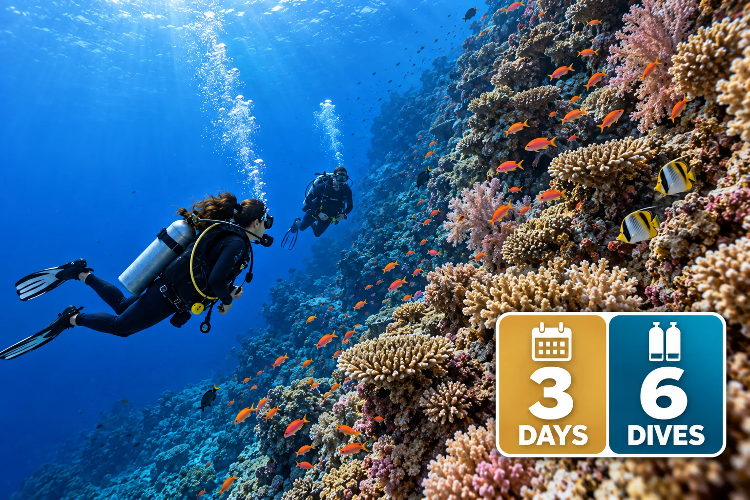 Marsa Alam Dive Package — 6 Dives (3 Days)