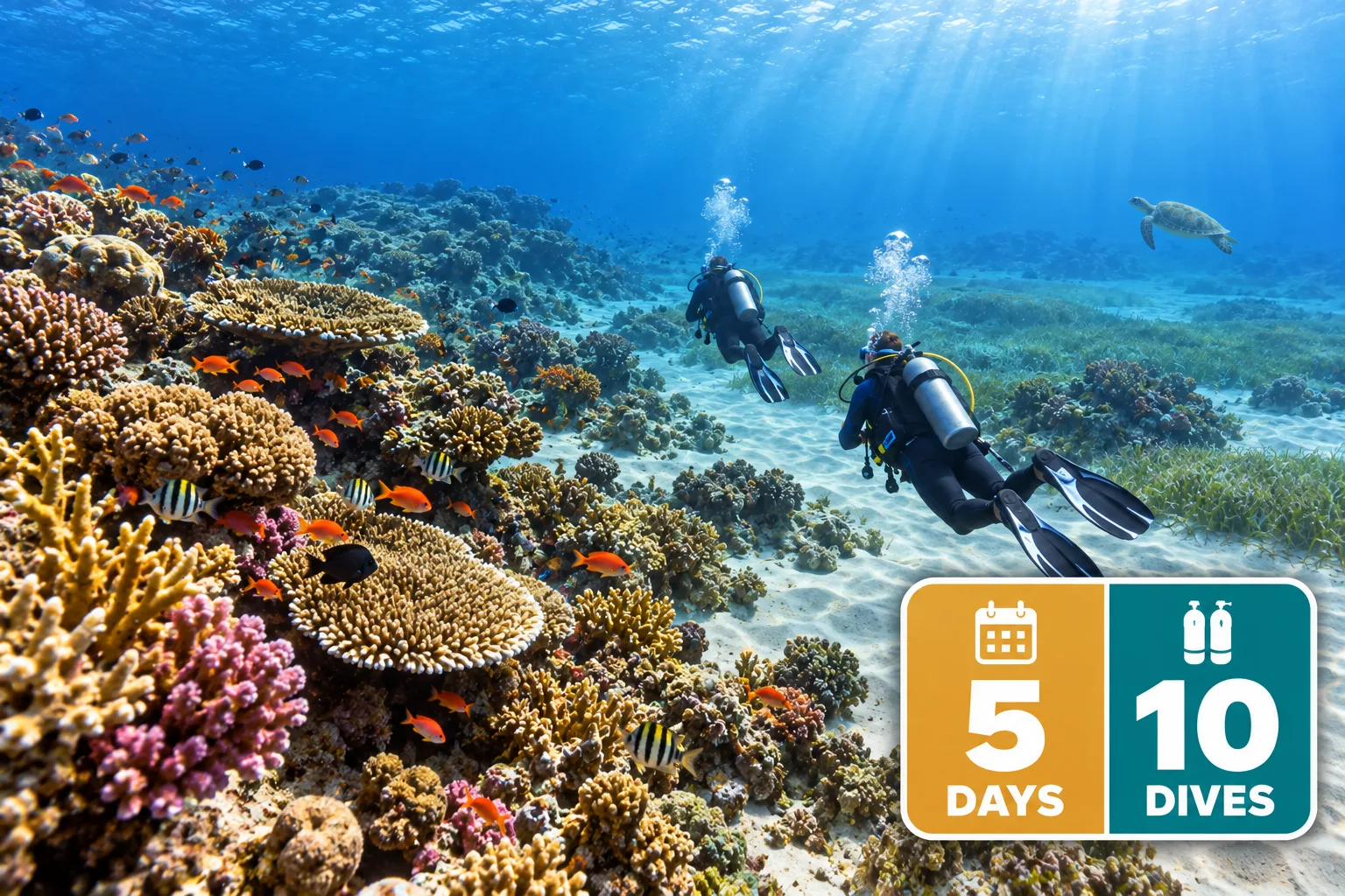 Marsa Alam Dive Package — 10 Dives (5 Days)