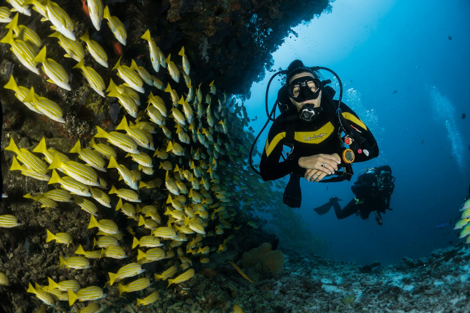 How Much Does a Red Sea Diving Holiday Cost in 2026?