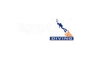 Egypt X Diving