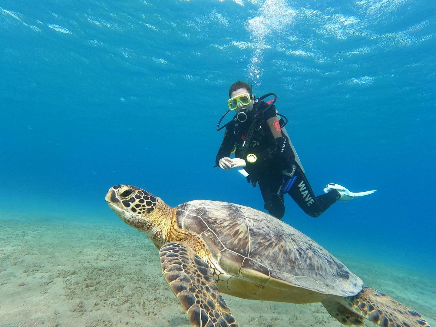 Marsa Mubarak Dive Site — Marsa Alam