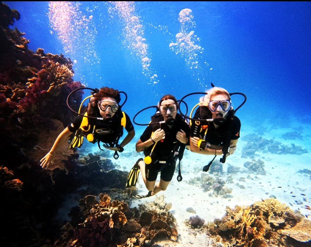 Hurghada Wreck & Reef Diving Day