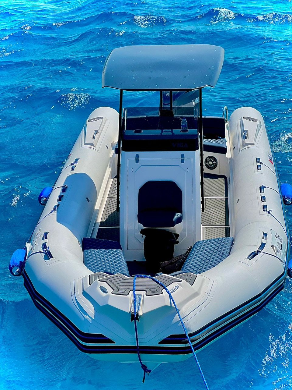 private-speedboat-dolphins-reefs-islands-