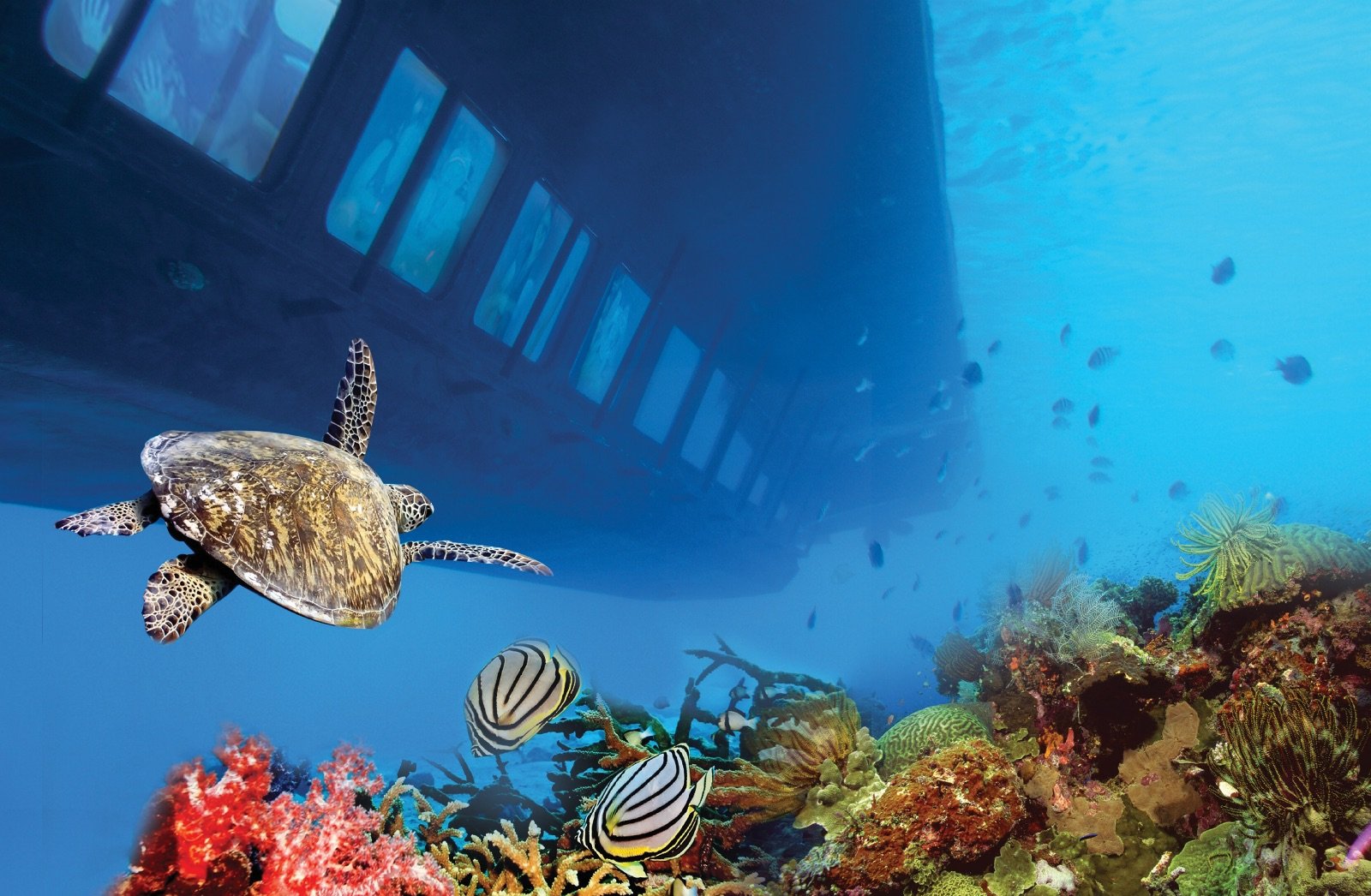 sea-scope-underwater-reef-viewing-