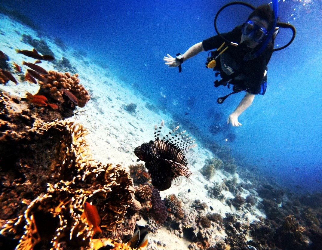 Diver following the reef wall