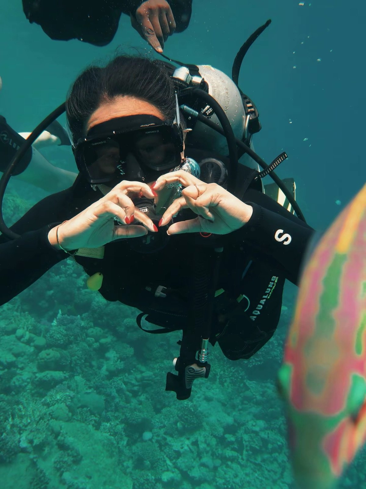 red-sea-diving-trip-two-guided-dives-