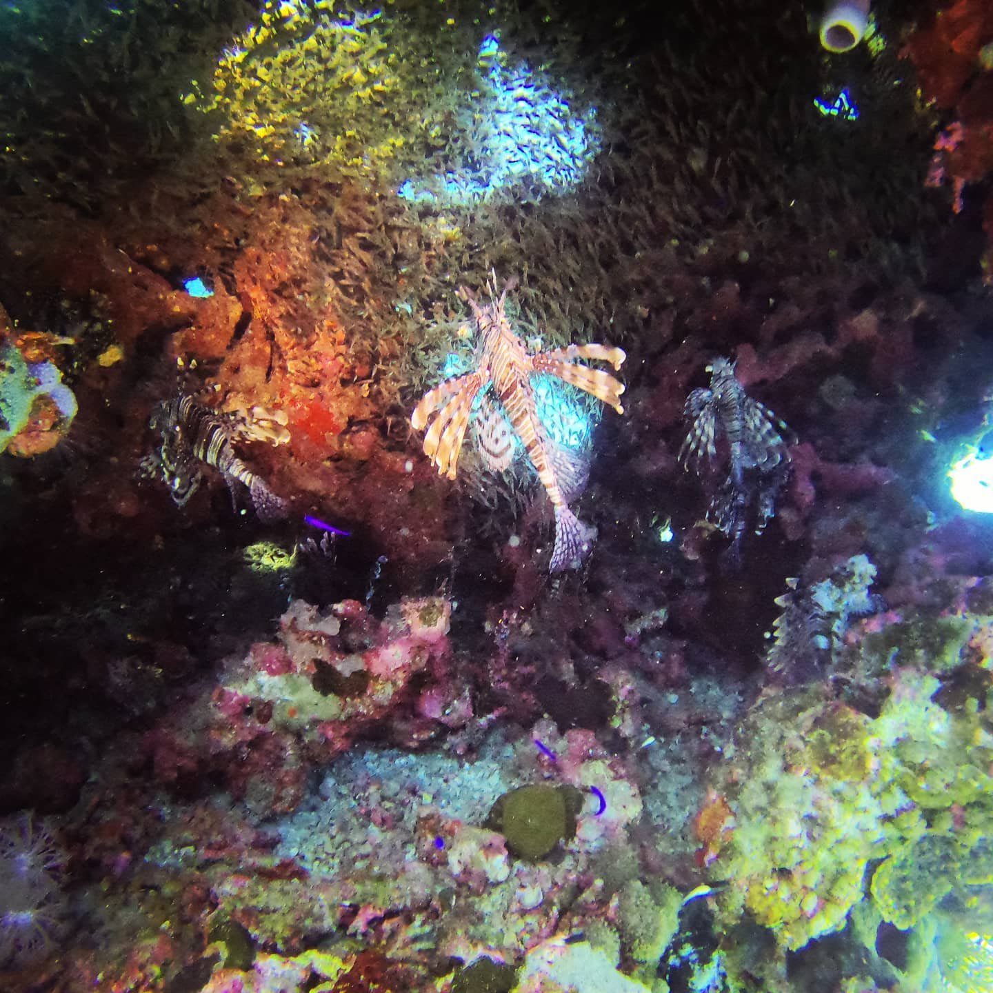 Hurghada Dive Package — 4 Days (8 Dives)