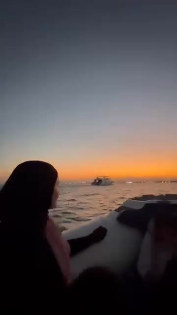 private-speedboat-dolphins-reefs-islands-