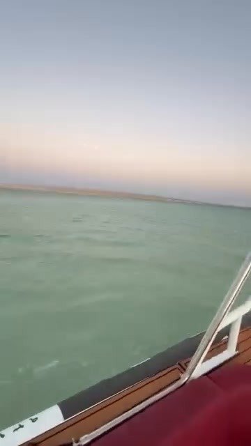 private-speedboat-dolphins-reefs-islands-