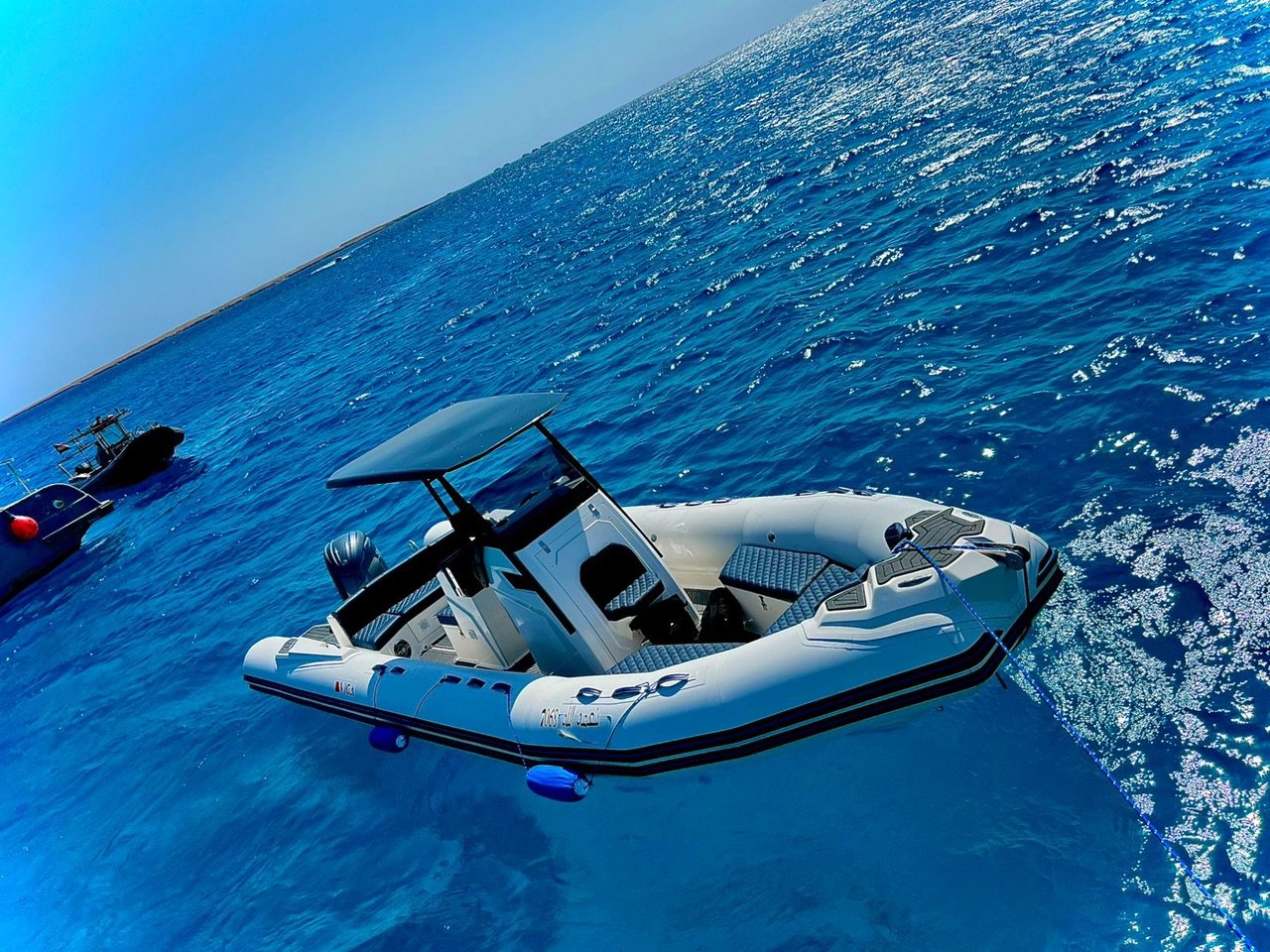 private-speedboat-dolphins-reefs-islands-