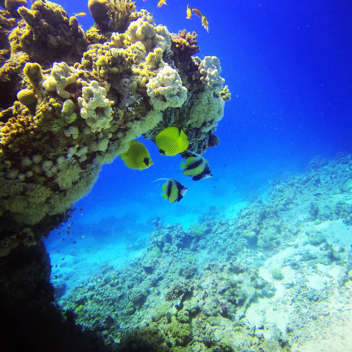 Hurghada Dive Package — 5 Days (10 Dives)