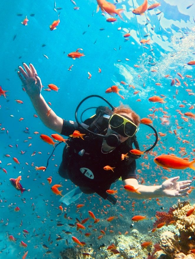red-sea-diving-trip-two-guided-dives-