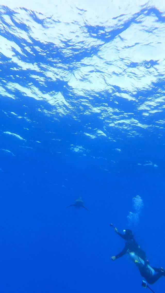 PADI Enriched Air (Nitrox) Diver — Marsa Alam