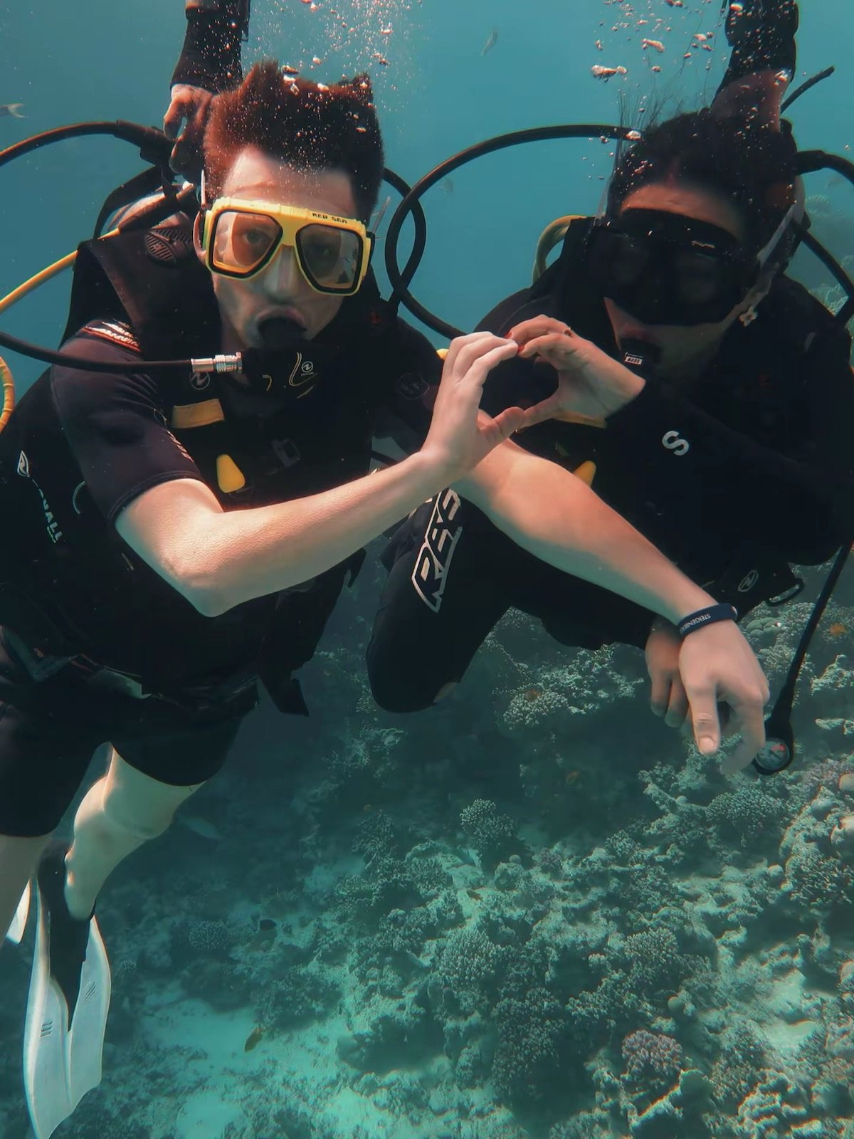 red-sea-diving-trip-two-guided-dives-