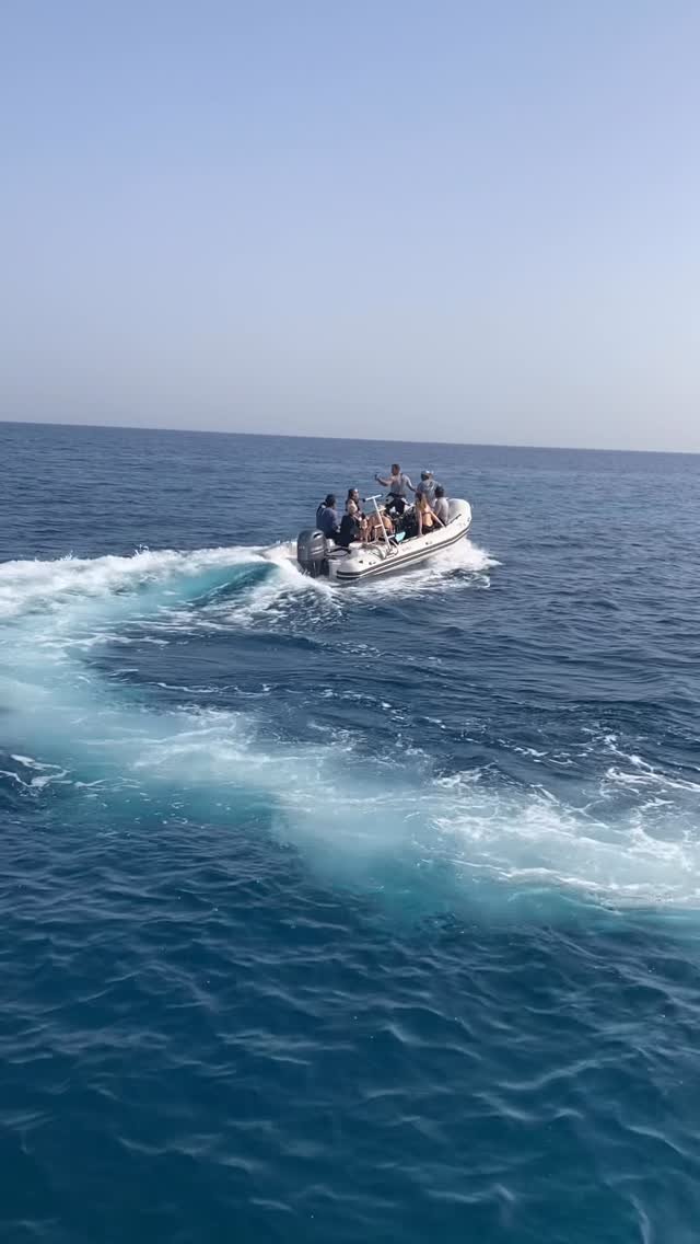 Red Sea Dive Packages: How Many Days Should You Book?