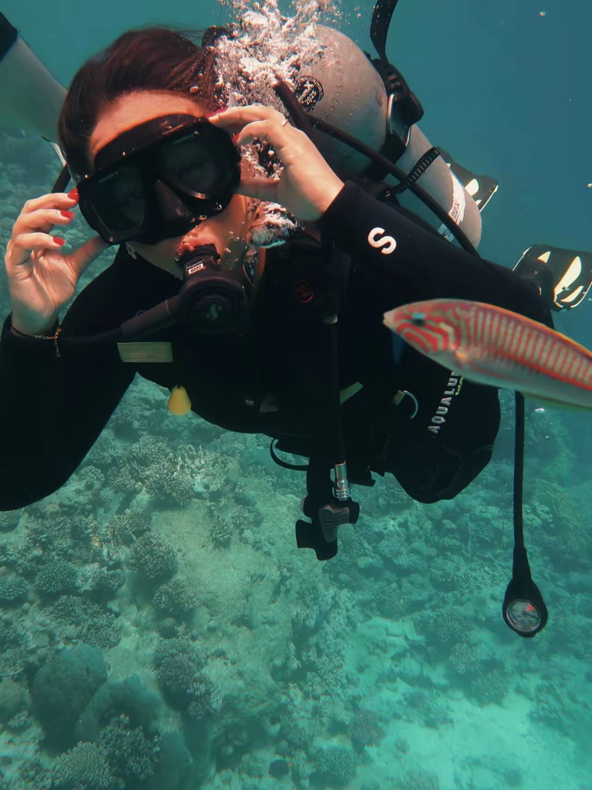 red-sea-diving-trip-two-guided-dives-