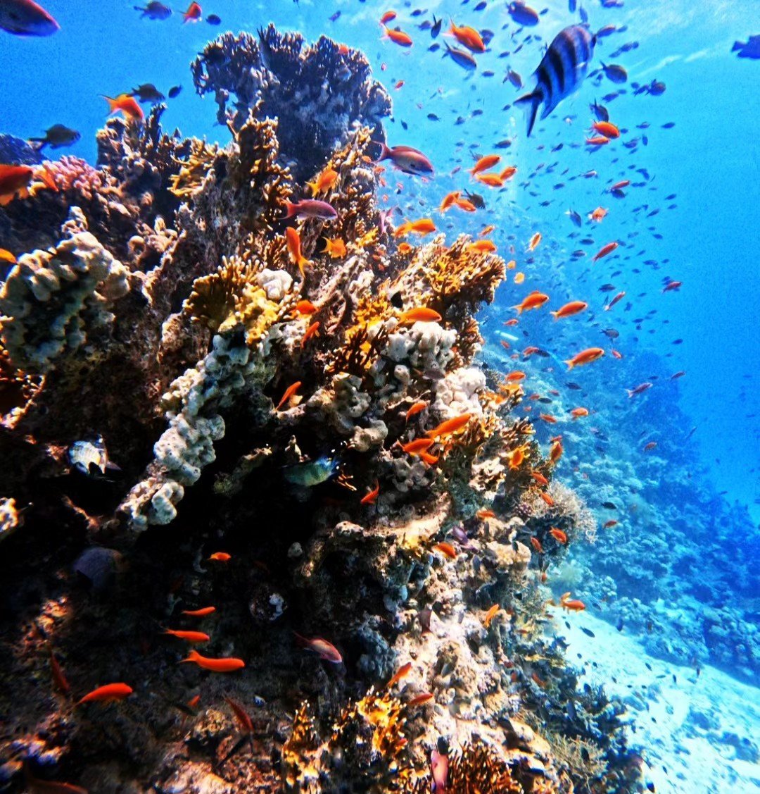 PADI Drift Diver Specialty Course