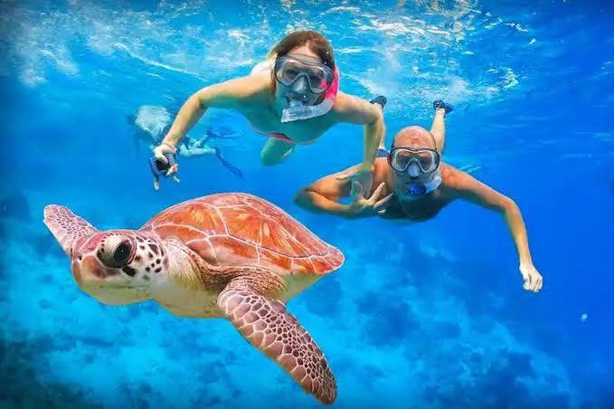 Snorkeling in Hurghada 2026: Best Spots, Prices & What to Expect