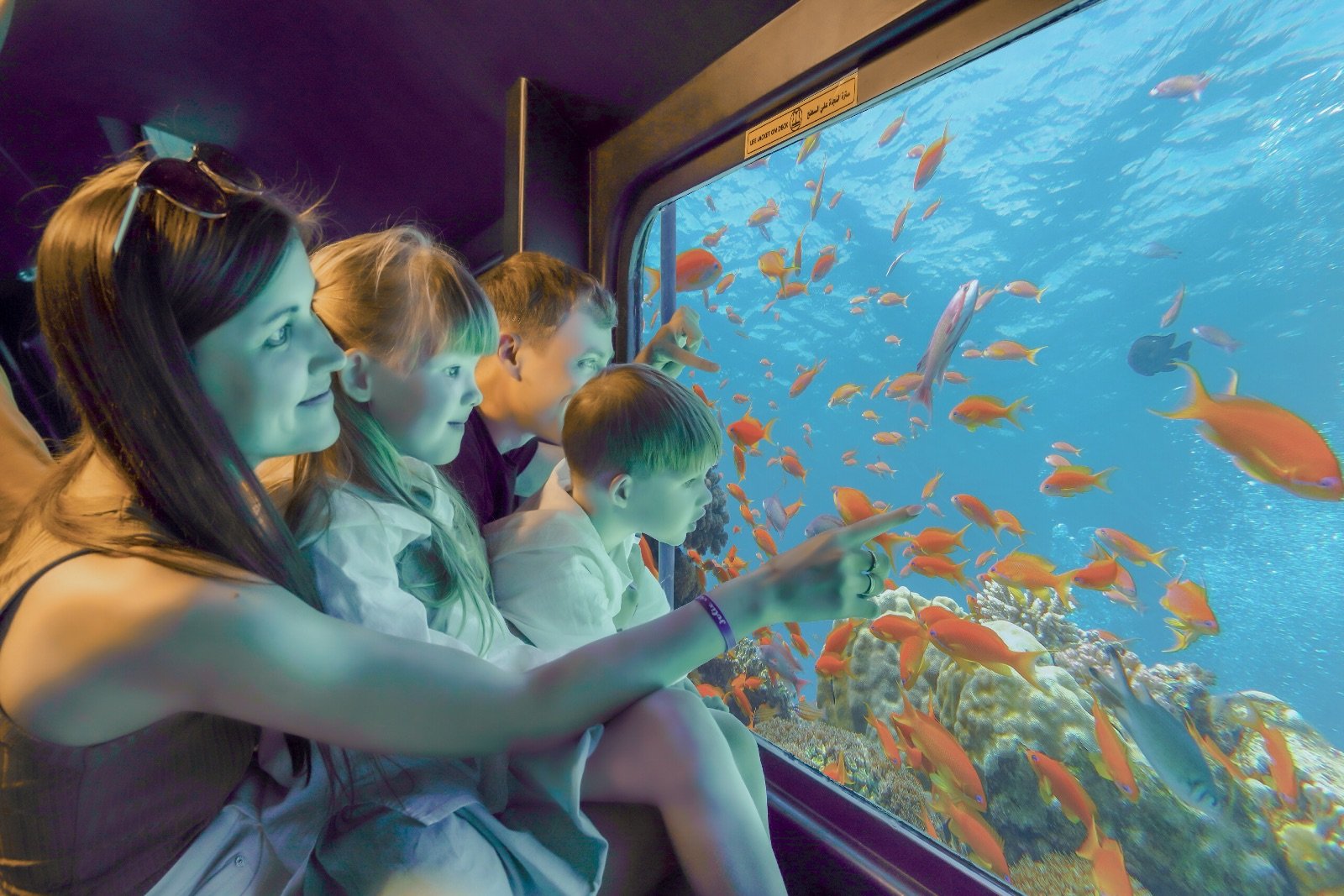 sea-scope-underwater-reef-viewing-