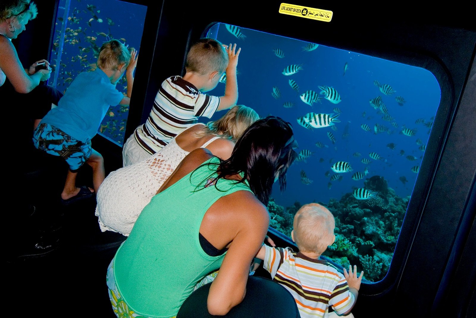 sea-scope-underwater-reef-viewing-