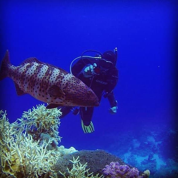 PADI Open Water Diver Course — Hurghada