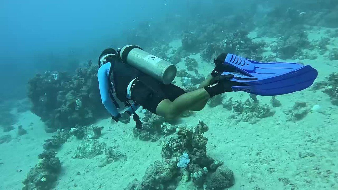 مرسى الأصلية