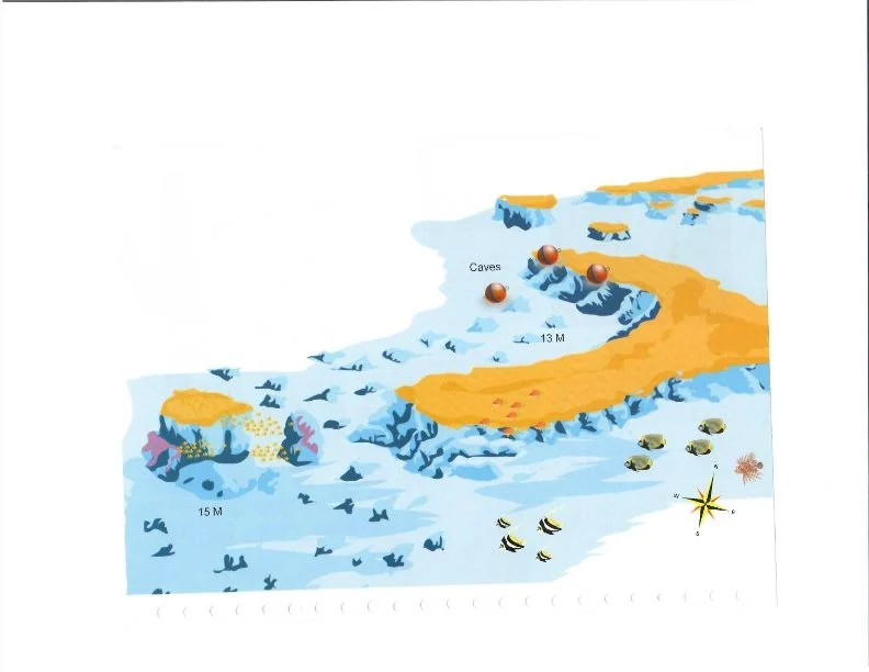 Banana Reef